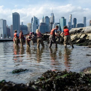People wading on the shore of Elliot Bay